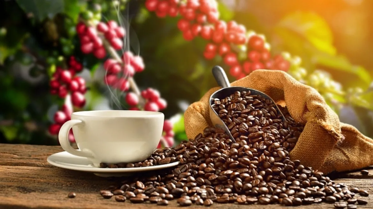 Giá cà phê hôm nay 20/4/2021: Tăng 100 đồng/kg tại một số địa phương 1