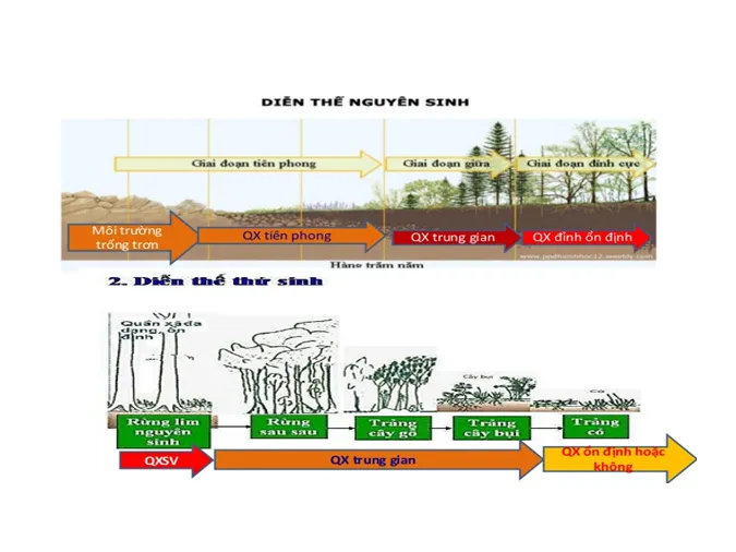 tom-tat-kien-thuc-va-bai-tap-lien-quan-den-quan-xa-sinh-vat-he-sinh-thai-voh-2