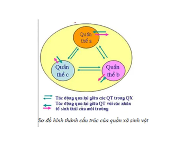 tom-tat-kien-thuc-va-bai-tap-lien-quan-den-quan-xa-sinh-vat-he-sinh-thai-voh-0