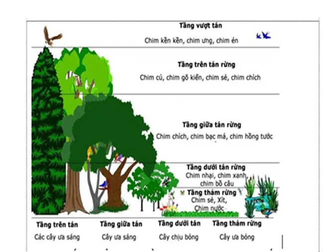 tom-tat-kien-thuc-va-bai-tap-lien-quan-den-quan-xa-sinh-vat-he-sinh-thai-voh-1