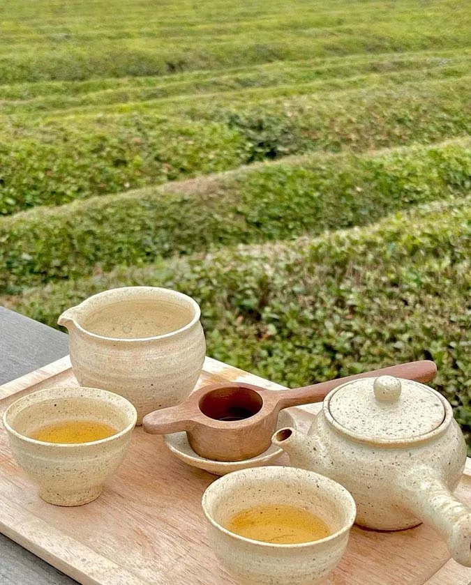 10 lợi ích tuyệt vời của việc làm đẹp bằng trà xanh 10