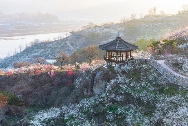 Jeollanam-do – Vùng đất giao thoa Truyền thống – Hiện đại nằm ở phía Tây Nam, Hàn Quốc 11
