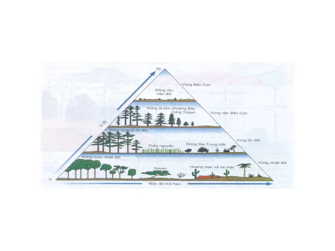 tim-hieu-qua-trinh-trao-doi-vat-chat-trong-he-sinh-thai-voh-7