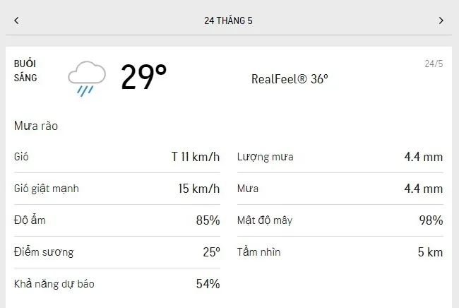 Dự báo thời tiết TPHCM hôm nay 23/5 và ngày mai 24/5/2021: trời nắng dịu, mưa rào rải rác 4