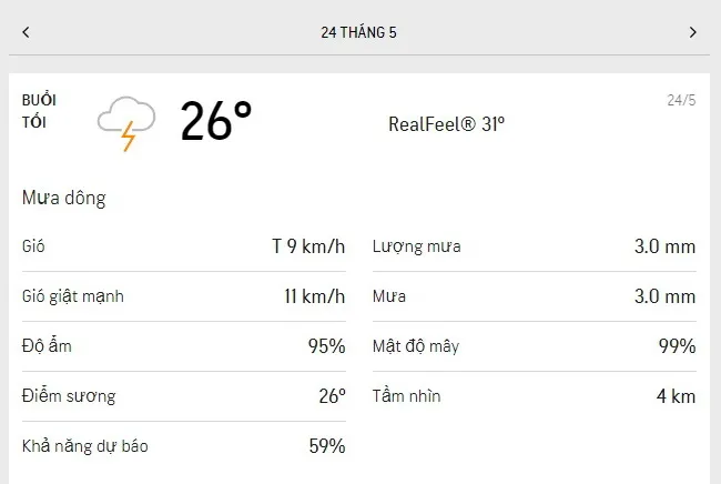 Dự báo thời tiết TPHCM hôm nay 23/5 và ngày mai 24/5/2021: trời nắng dịu, mưa rào rải rác 6