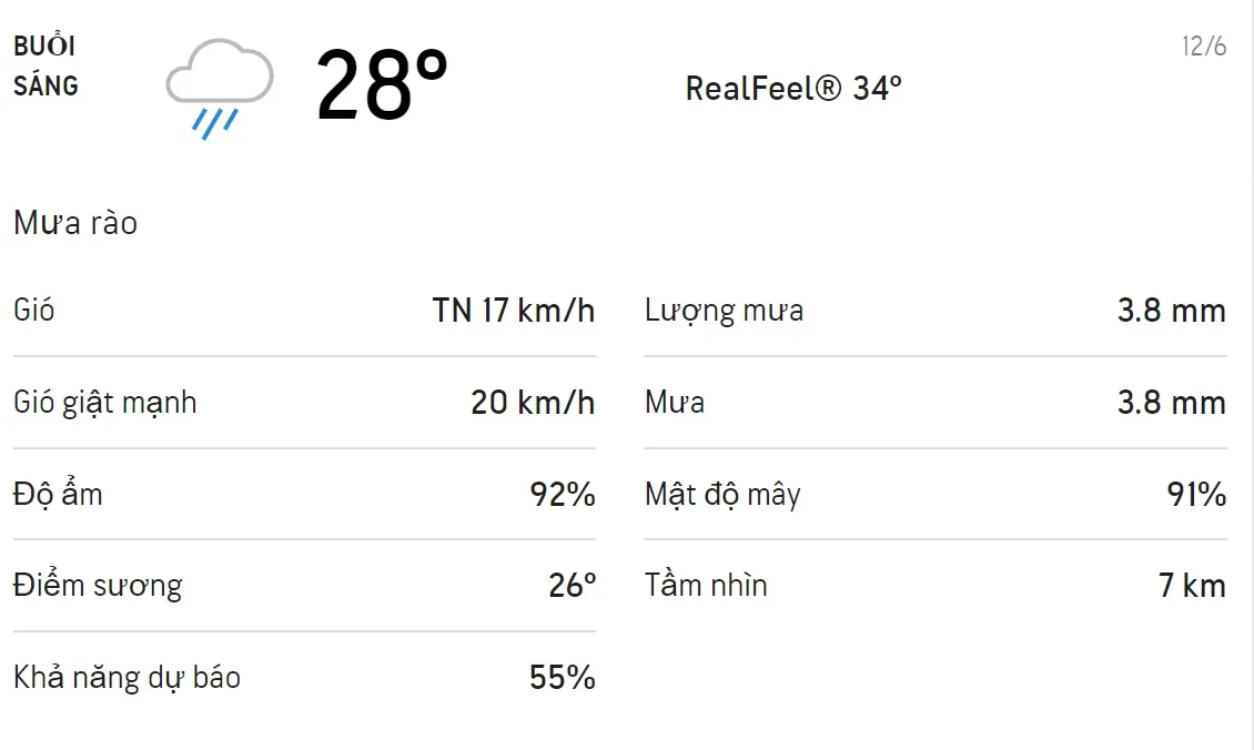 Dự báo thời tiết TPHCM hôm nay 12/6 và ngày mai 13/6: Ban ngày trời có mưa rào 1
