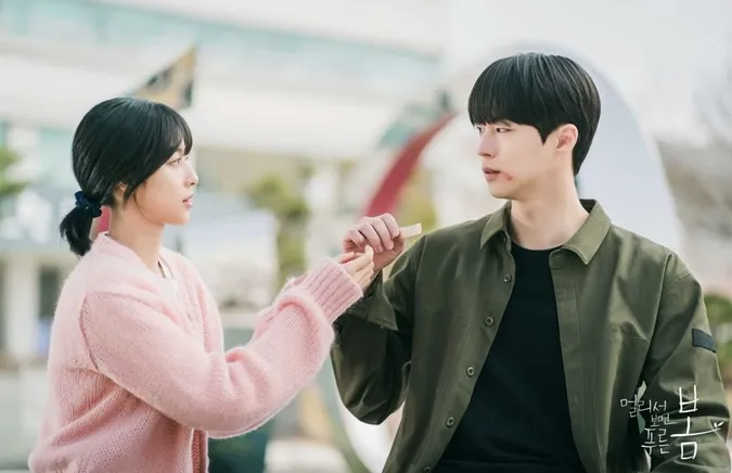 Mùa Xuân Xanh Từ Xa - Phim mới của Park Ji Hoon có gì đáng mong đợi? 12