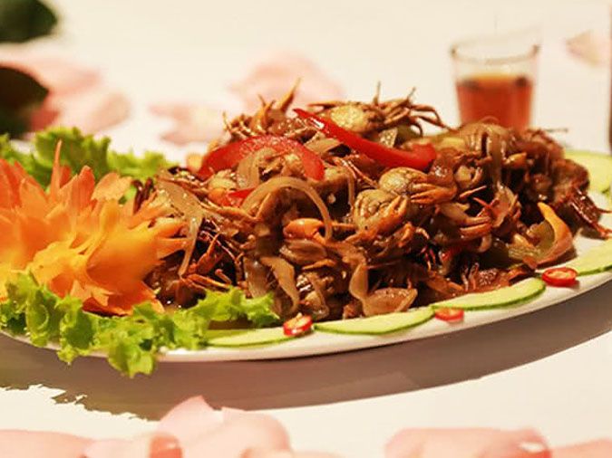 tong-hop-8-mon-ngon-tu-cua-doc-dao-hap-dan-va-bo-duong-voh-6