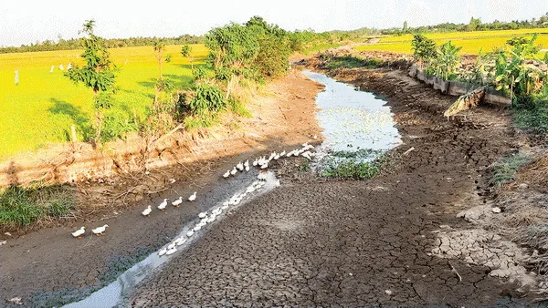 Dự báo thời tiết 10 ngày tới (đêm 20 đến ngày 30/6/2021): ngày nắng nóng, chiều và tối có mưa dông 1