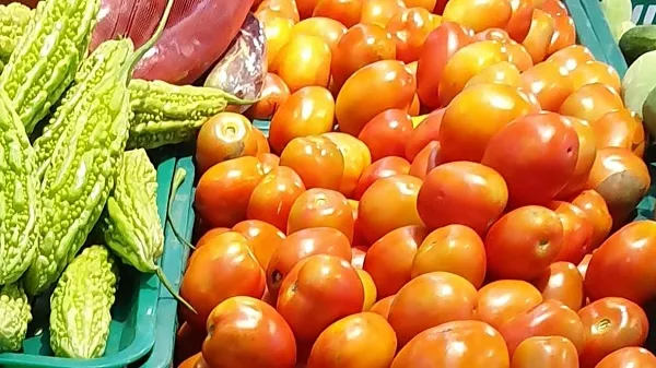 Giá cả thị trường hôm nay 23/6/2021: Cà chua 20.000 đồng/kg 1