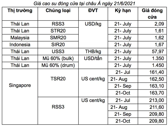 Giá cao su hôm nay 24/6/2021: Tăng nhẹ, cao su thế giới đang có xu hướng giảm 3