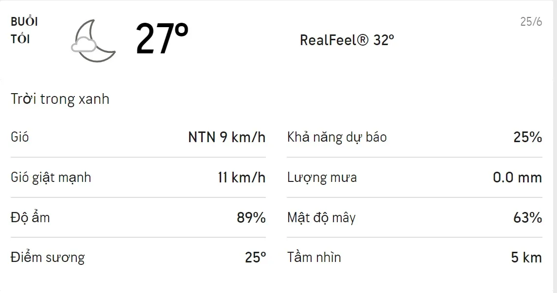 Dự báo thời tiết TPHCM hôm nay 25/6 và ngày mai 26/6: Ban ngày có mưa dông 3