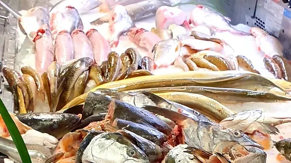 Giá cả thị trường hôm nay 5/7/2021: Giá cả các loại cá 1