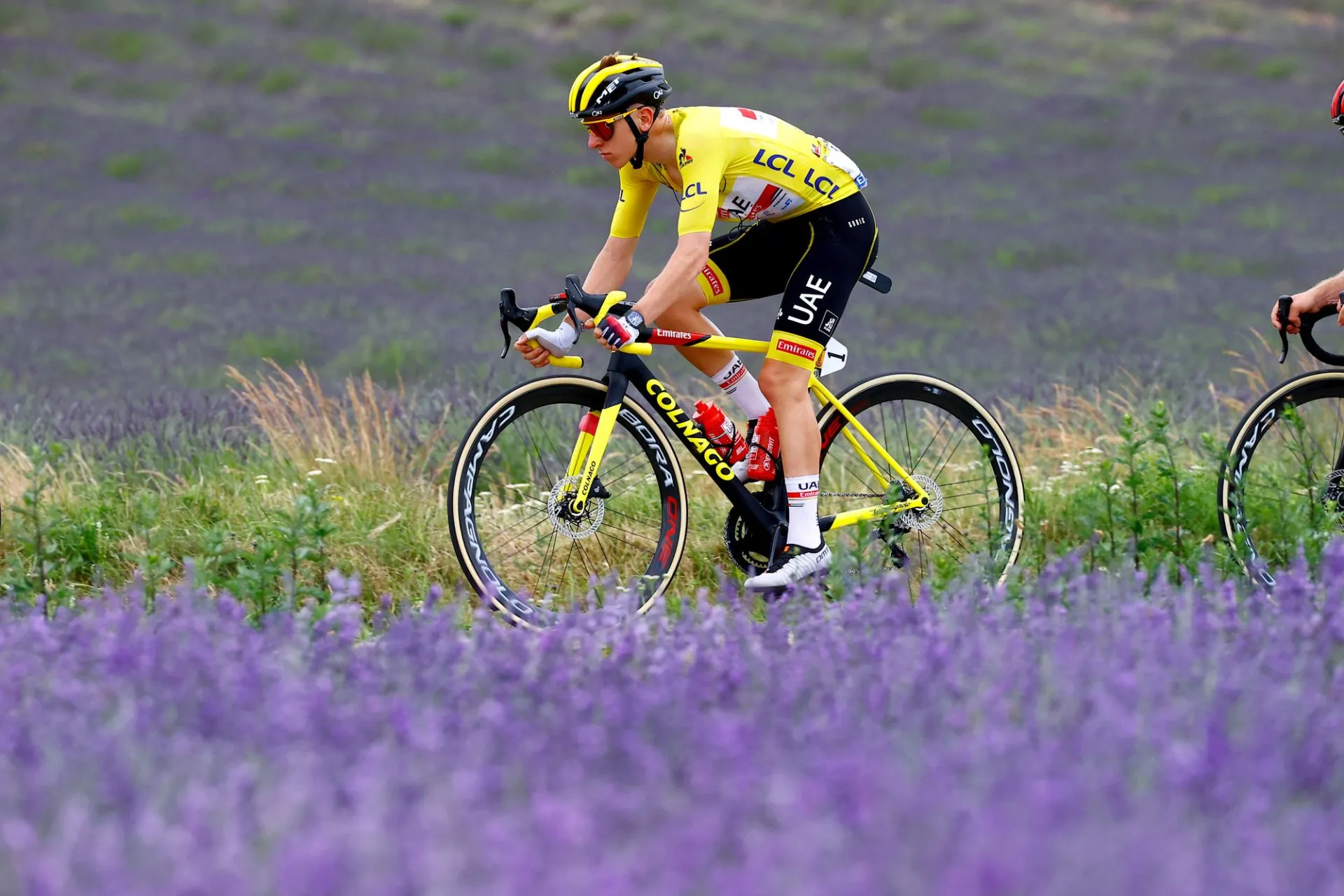 Tour de France 2021: Van Aert thắng chặng 11 - Áo vàng Pogacar tiếp tục thể hiện sức mạnh đường đèo