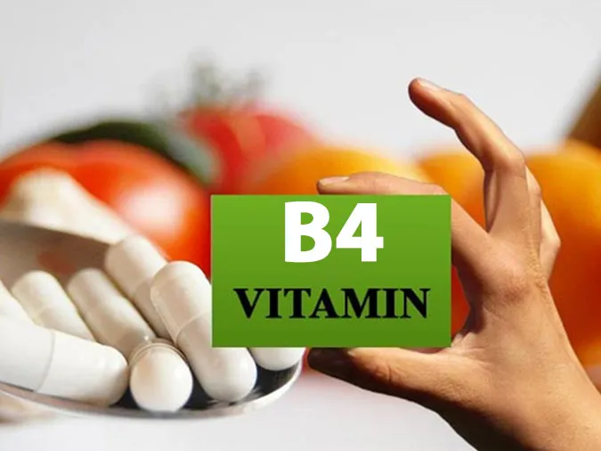 tac-dung-cua-vitamin-b4-doi-voi-co-the-la-gi-voh-0