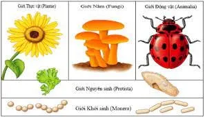 Giới thiệu chung về lịch sử thế giới sống trên trái đất 4