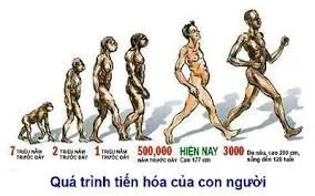 Giới thiệu chung về lịch sử thế giới sống trên trái đất 3