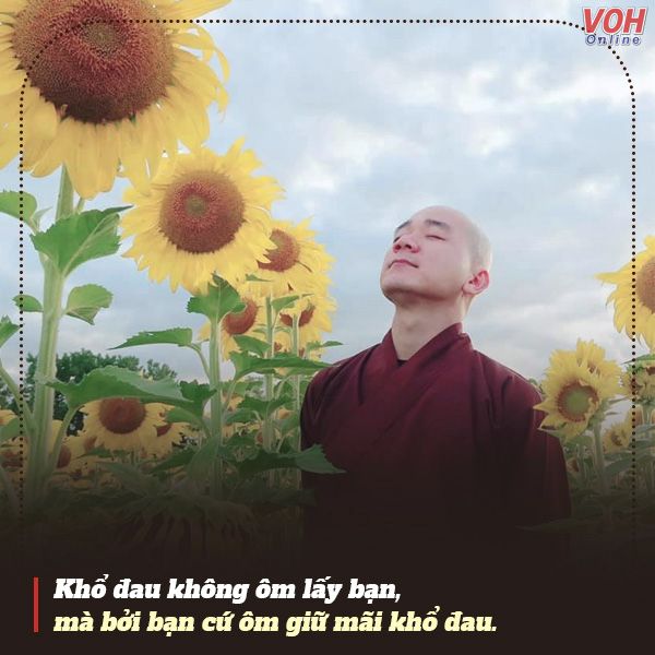 cau-noi-hay-cua-thay-thich-tam-nguyen-voh