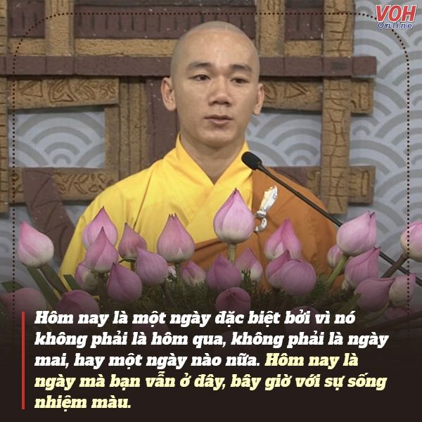 cau-noi-hay-cua-thay-thich-tam-nguyen-voh-2