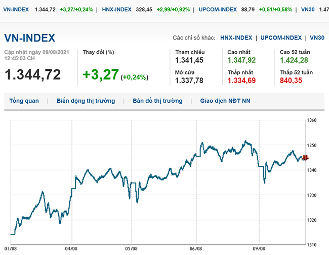 thi-truong-chung-khoan-9-8-2021-vn-index-tang-manh-ap-sat-moc-1-360-diem-voh.com.vn-anh2