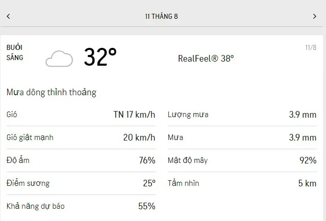 Dự báo thời tiết TPHCM hôm nay 10/8 và ngày mai 11/8/2021: nắng dịu, buổi trưa có mưa rào vài nơi 4
