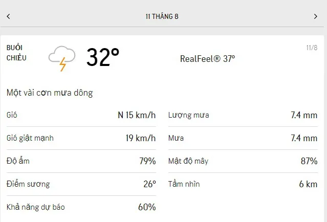 Dự báo thời tiết TPHCM hôm nay 10/8 và ngày mai 11/8/2021: nắng dịu, buổi trưa có mưa rào vài nơi 5