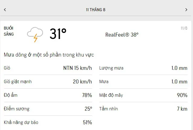 Dự báo thời tiết TPHCM hôm nay 11/8 và ngày mai 12/8/2021: trời nhiều mây, nhiệt độ mát dịu 1