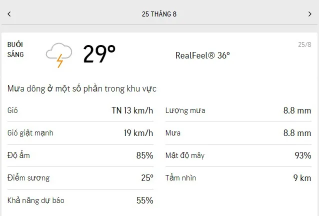 Dự báo thời tiết TPHCM hôm nay 25/8 và ngày mai 26/8/2021: trời u ám, không khí có nhiều hơi ẩm 1