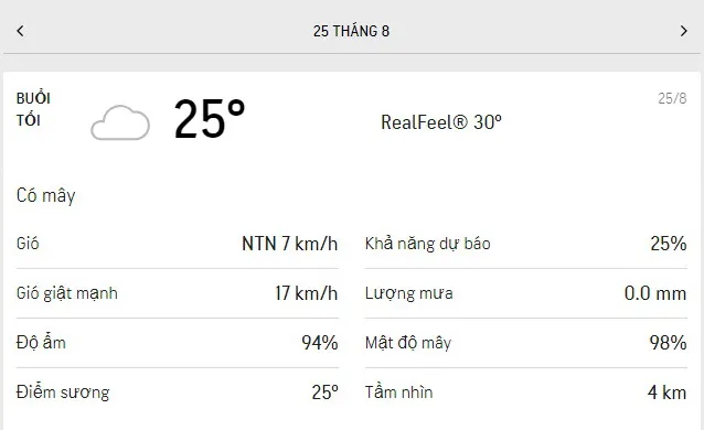 Dự báo thời tiết TPHCM hôm nay 25/8 và ngày mai 26/8/2021: trời u ám, không khí có nhiều hơi ẩm 3