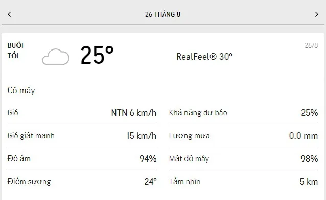 Dự báo thời tiết TPHCM hôm nay 26/8 và ngày mai 27/8/2021: mưa dông rải rác cả sáng lẫn chiều 3