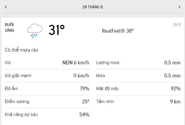 Dự báo thời tiết TPHCM hôm nay 27/8 và ngày mai 28/8/2021: nắng nhẹ, có mưa rào lúc đầu giờ chiều 4