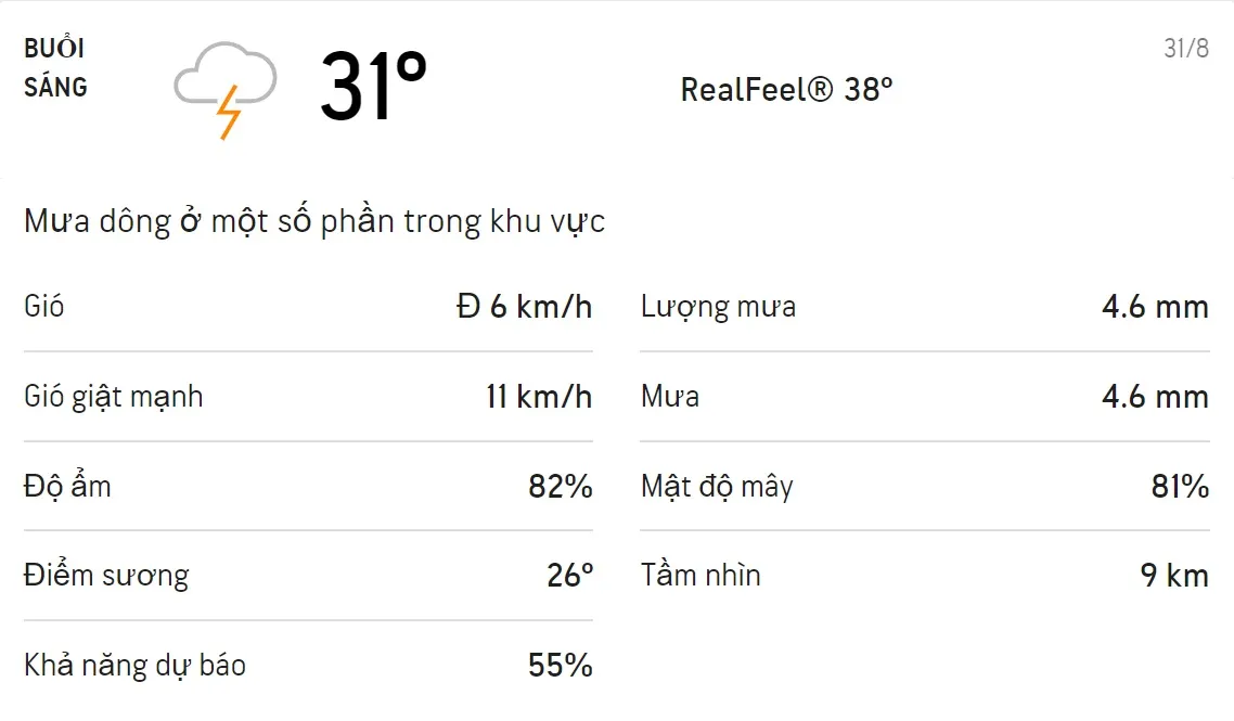Dự báo thời tiết TPHCM hôm nay 31/8 và ngày mai 01/9: Sáng chiều có mưa dông 1