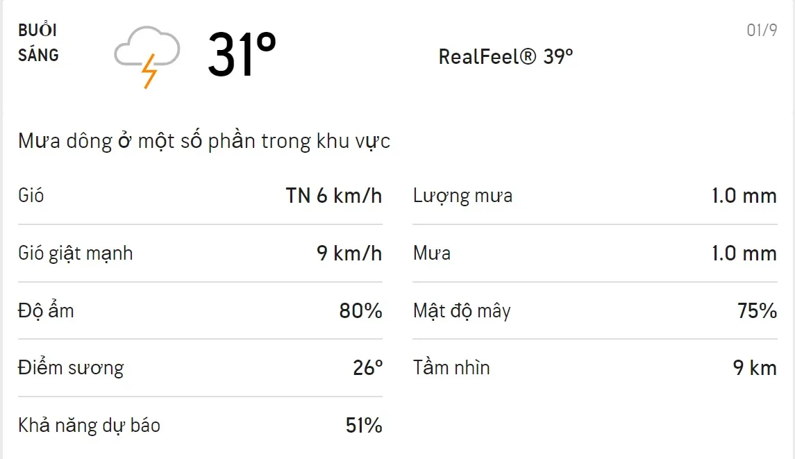 Dự báo thời tiết TPHCM hôm nay 01/9 và ngày mai 02/9: Cả ngày trời có mưa dông rải rác 1