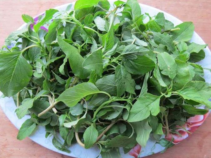 tac-dung-cua-rau-den-voh-3