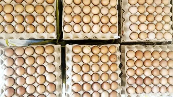 Giá cả thị trường hôm nay 23/9/2021: Giá trứng gia cầm hạ nhiệt đáng kể 1