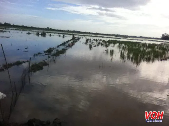Người dân mong lũ về, chuyên gia khẳng định lũ thấp 1