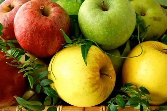 Màu sắc vỏ táo khác nhau có dinh dưỡng khác nhau. (Nguồn health.tvbs.com.tw)