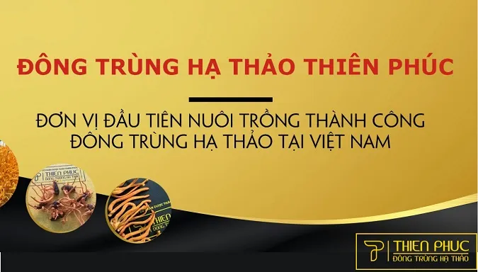 dong-trung-ha-thao-co-tac-dung-gi-voh-5