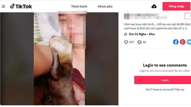 Tống Thành Thuận  thường xuyên đăng tải video nuôi rái cá lên Tiktok, Facebook để quảng cáo rao bán