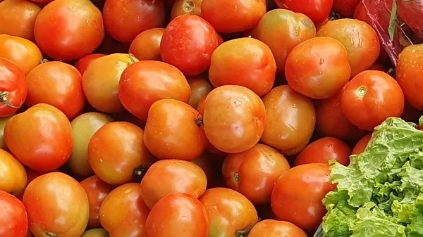 Giá cả thị trường hôm nay 26/11/2021: Cà chua 34.000 đồng/kg 1