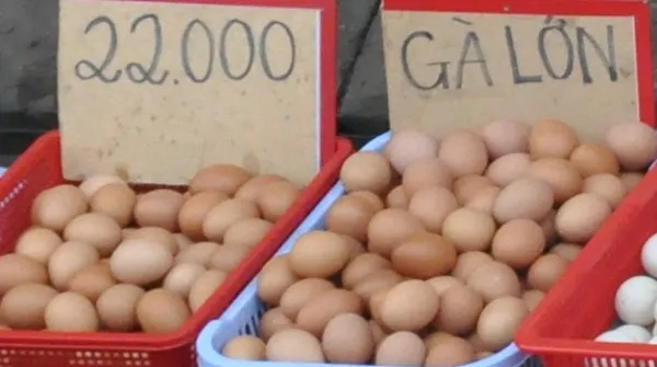 Giá cả thị trường hôm nay 5/12/2021: Trứng gà từ 2.200 đồng 1