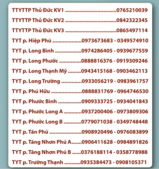 TPHCM công bố đường dây nóng tất cả phường quận để F0 khai báo 22