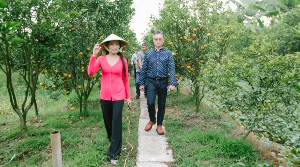 Khai trương điểm tham quan vườn quýt hồng lớn nhất Lai Vung – Đồng Tháp 1