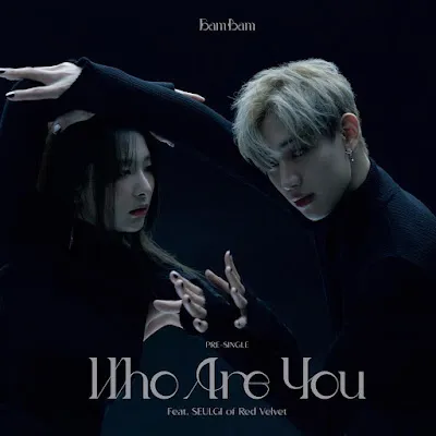 Who Are You - sự kết hợp bất ngờ nhưng lại hoàn hảo giữa Bambam và Seulgi 1