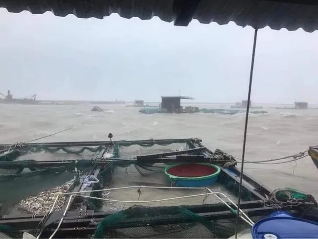 Dự báo thời tiết hôm nay 1/1/2021: vùng biển từ Bình Định đến Cà Mau có sóng to gió lớn 1