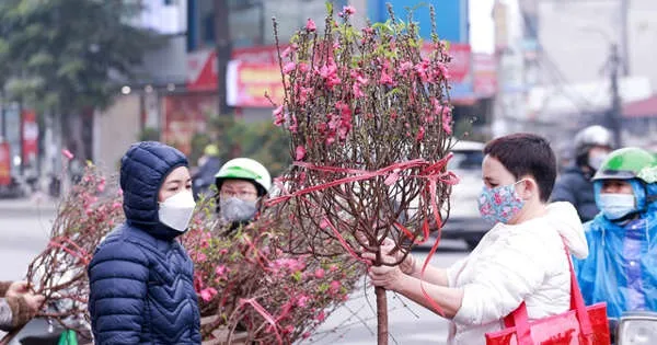 Dự báo thời tiết hôm nay 3/2: Miền Bắc rét đậm, rét hại, vùng núi cao có nơi dưới 3 độ 1