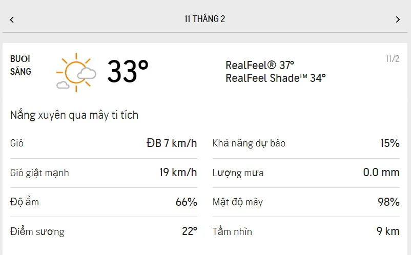 Dự báo thời tiết TPHCM hôm nay 11/2 và ngày mai 12/2/2022: nắng xuyên mây ti tích, lượng UV trung bì 1
