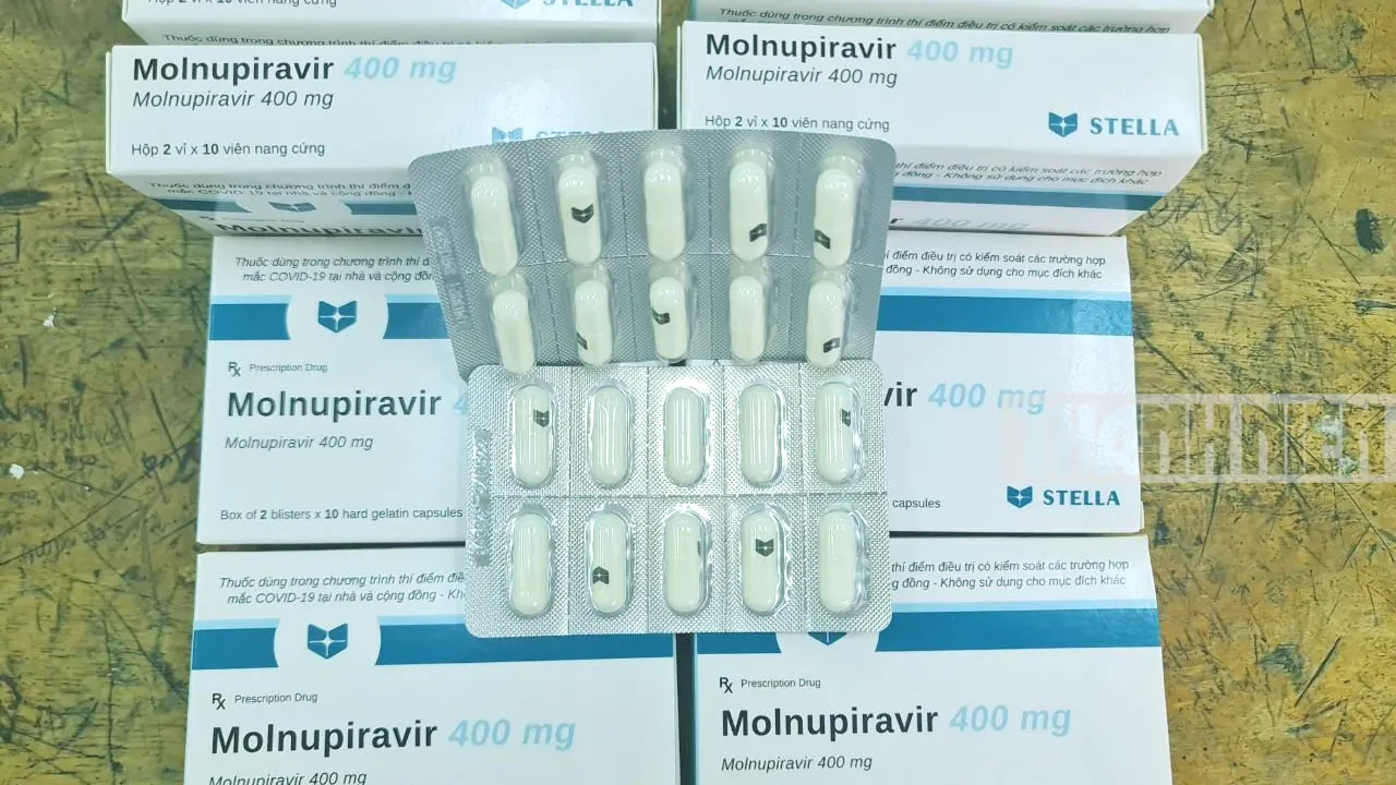 Nghệ An: Cấm buôn bán thuốc điều trị Covid-19 Molnupiravir