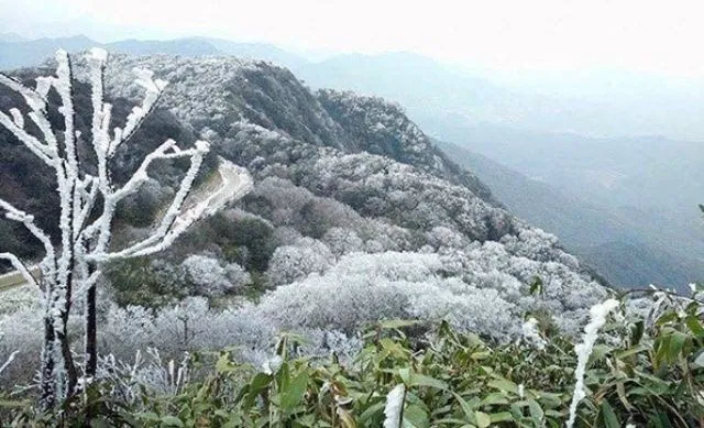 Dự báo thời tiết ngày mai 23/2/2022: Bắc Bộ và Bắc Trung Bộ ít mưa, ngày nắng; trời rét 1
