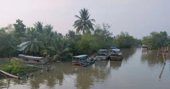 Tin nóng sáng 5/3: Bông Lúa Vàng 2021 - Những tài năng cải lương sẵn sàng tỏa sáng 2